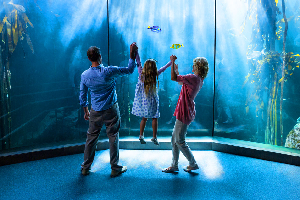 Met Blue Tickets aan de basis