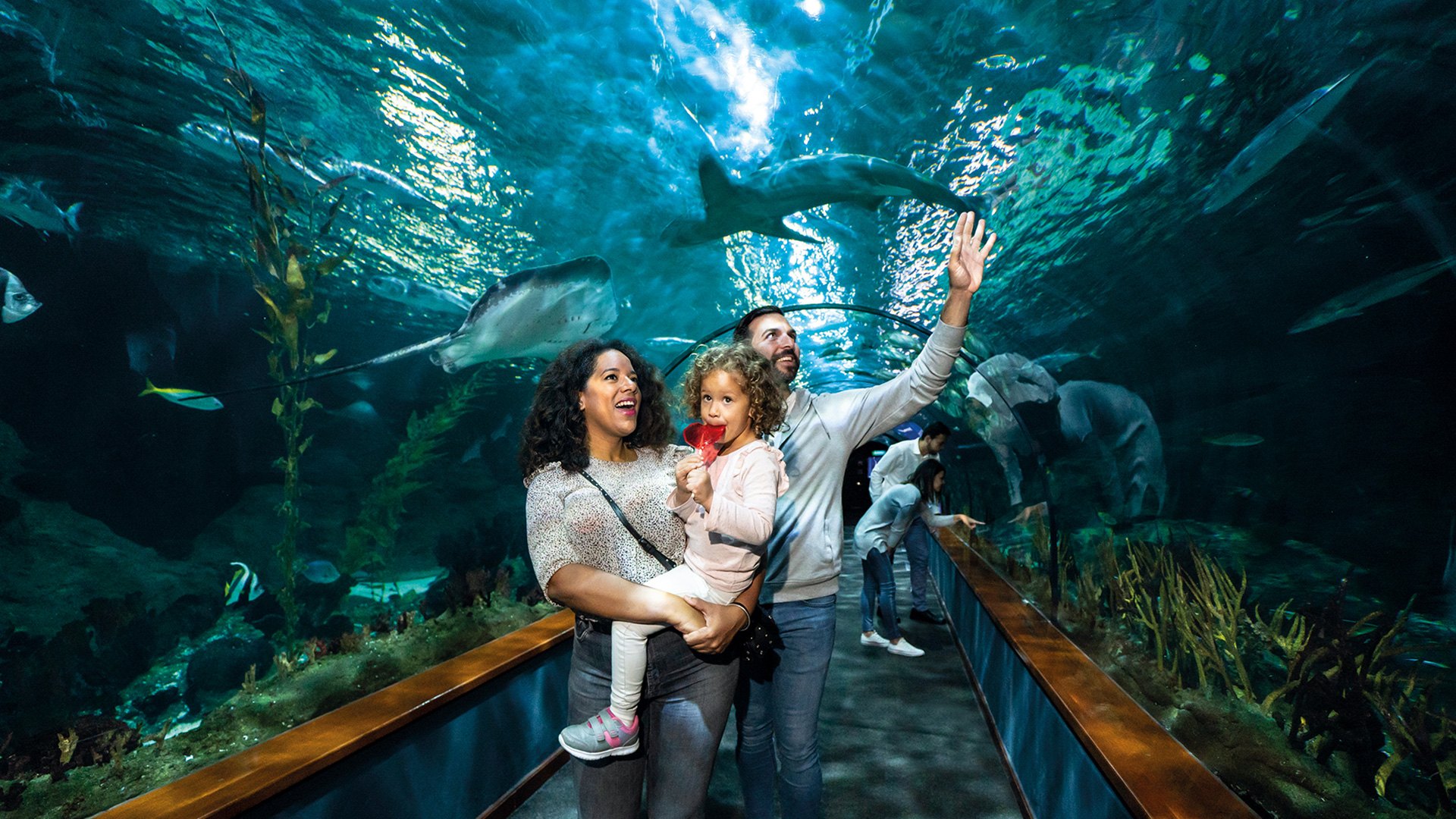 Gezin bij een aquariumtunnel in een vrijetijdslocatie